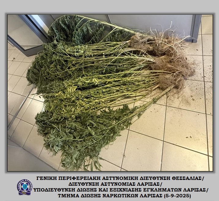 Συλλήψεις για ναρκωτικά-