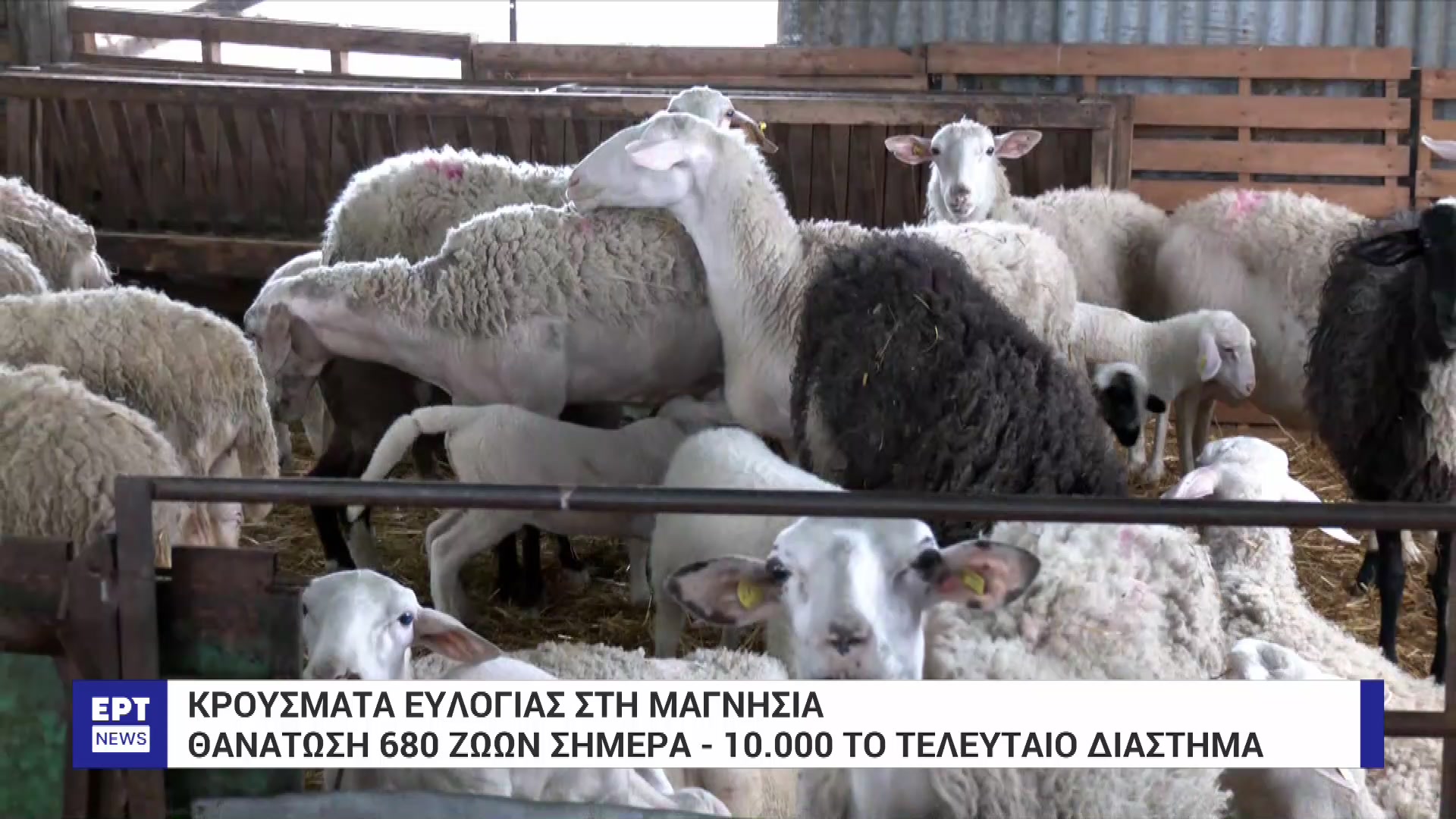 Νέο κρούσμα ευλογιάς στη