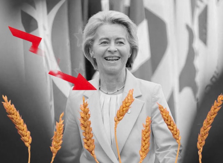 Συμφωνία ΕΕ-Mercosur: Τόσος χαμός μόλις για 0,05% ανάπτυξη;