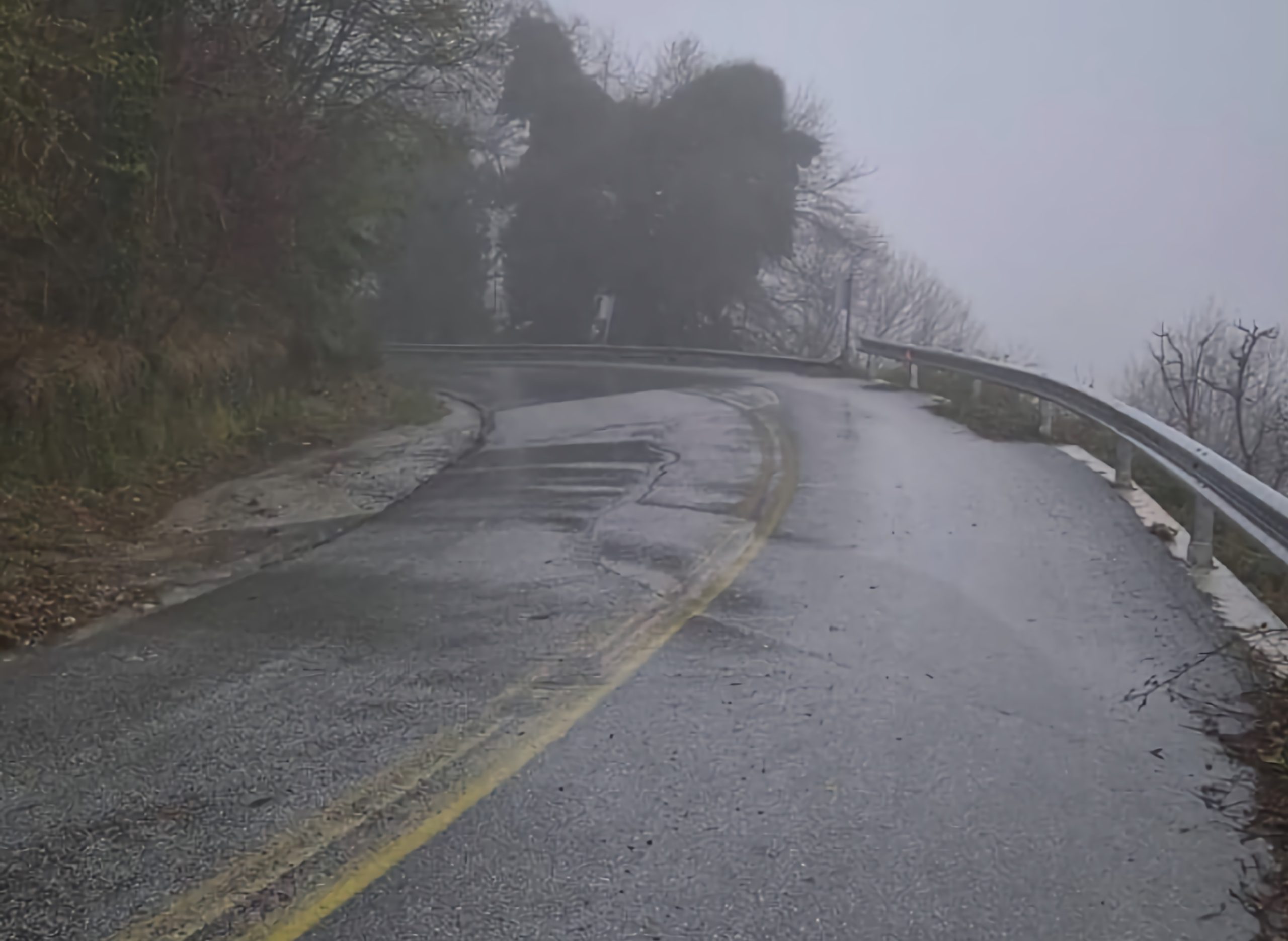 Α.Μ. Παπαδημητρίου: