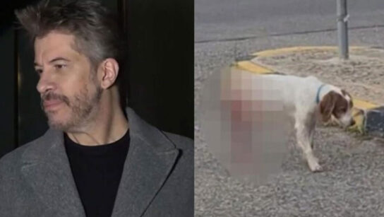 Χάρης Βαρθακούρης: Θα