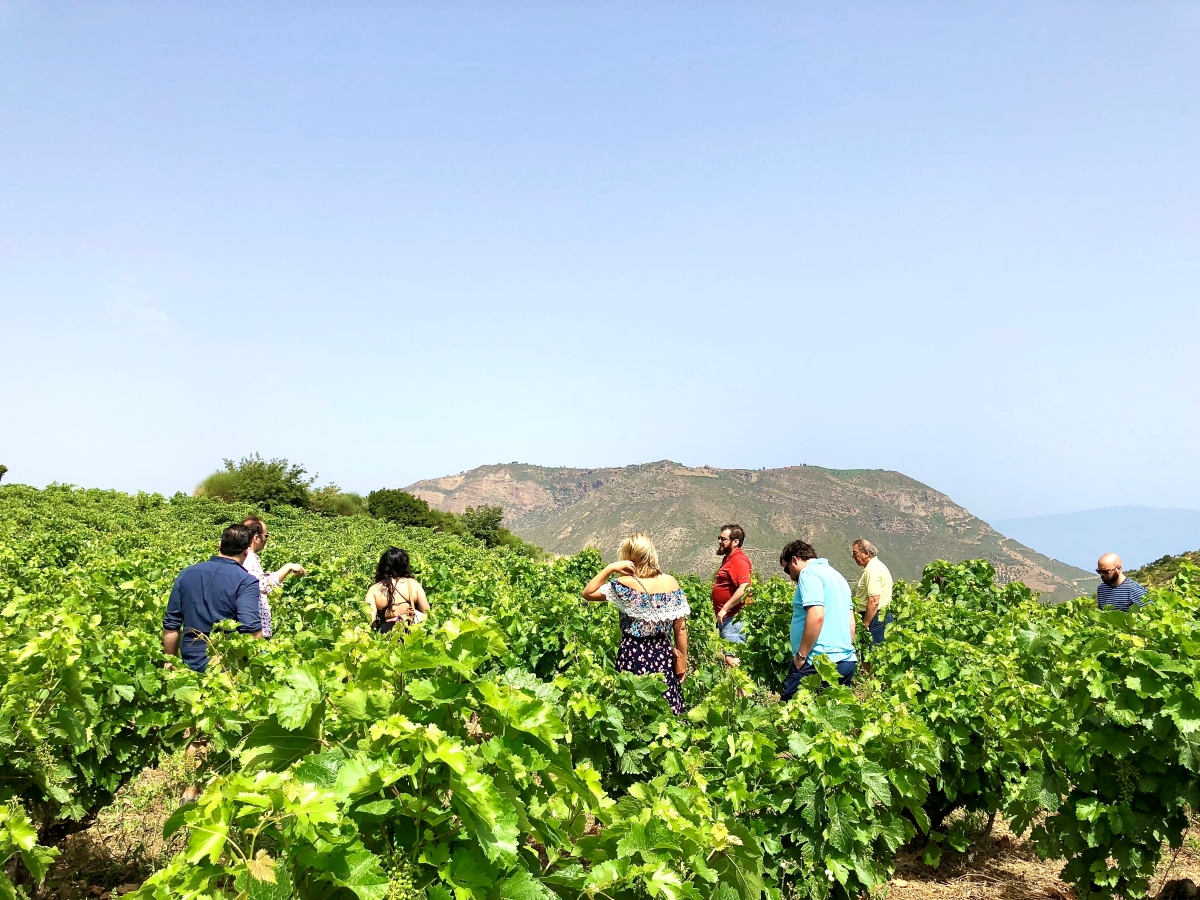 Λάρισα: Ξεκινά την Τρίτη η 9η Πανελλήνια Συνάντηση Φυτοπροστασίας
