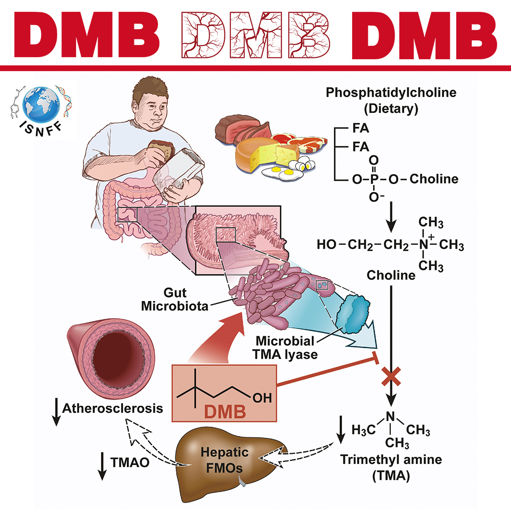 Έλληνες επιστήμονες