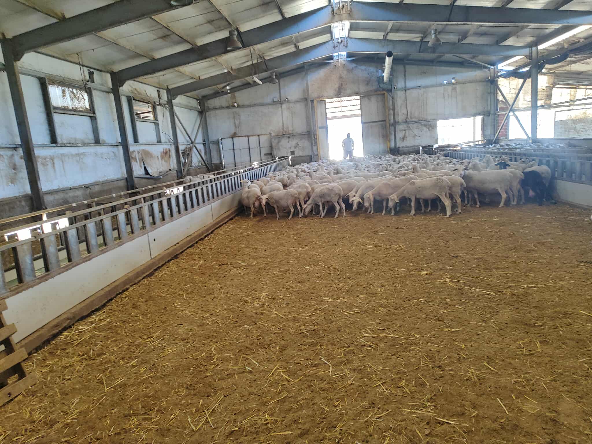 Έφοδος10 ημερών για την