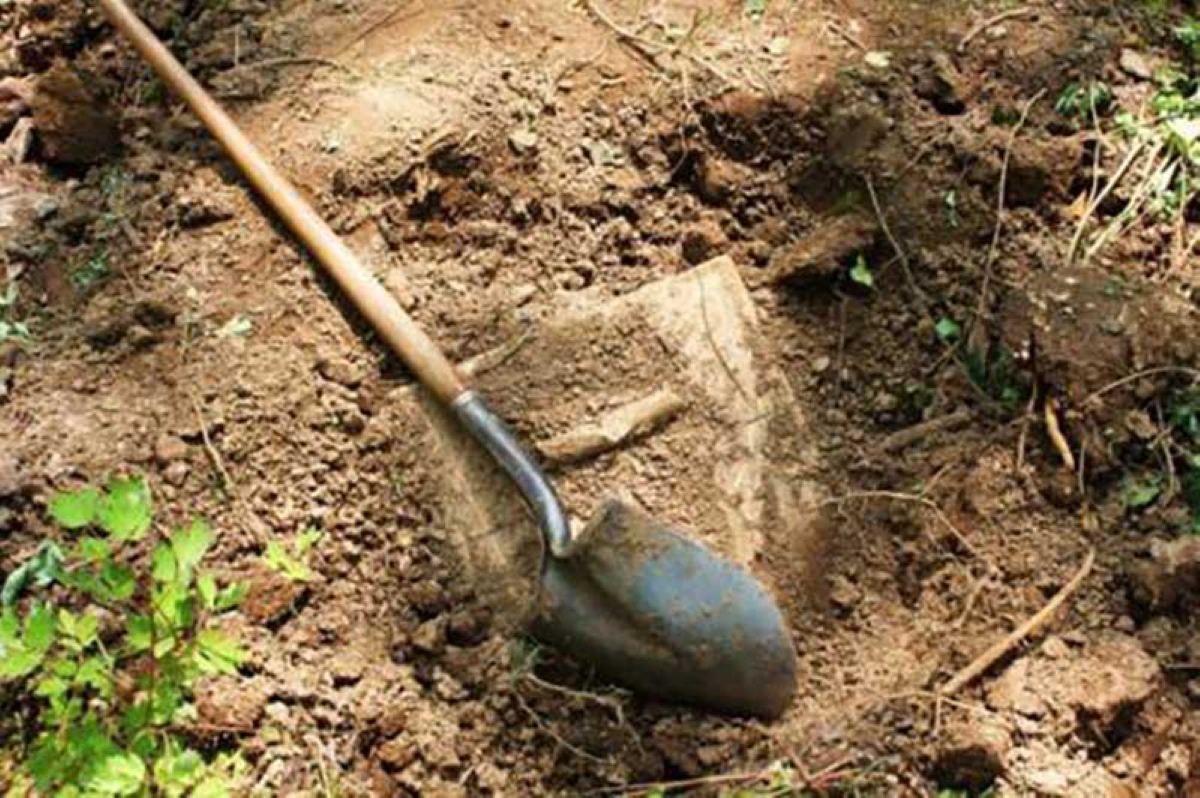 Αλμυρός: Αίτημα για άδεια