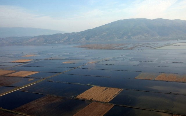 Στα 83,8 εκατ. ευρώ η