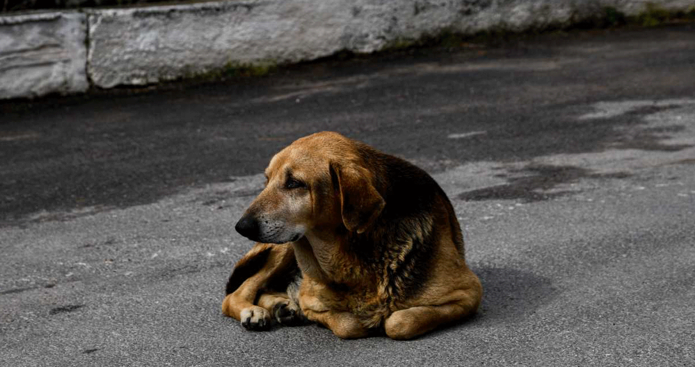 Λάρισα: Χειροπέδες και