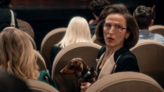 Σέρρες: Η σκηνή με την θεία