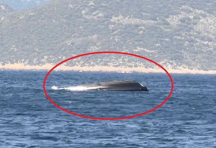 Καστελόριζο: Βίντεο από το