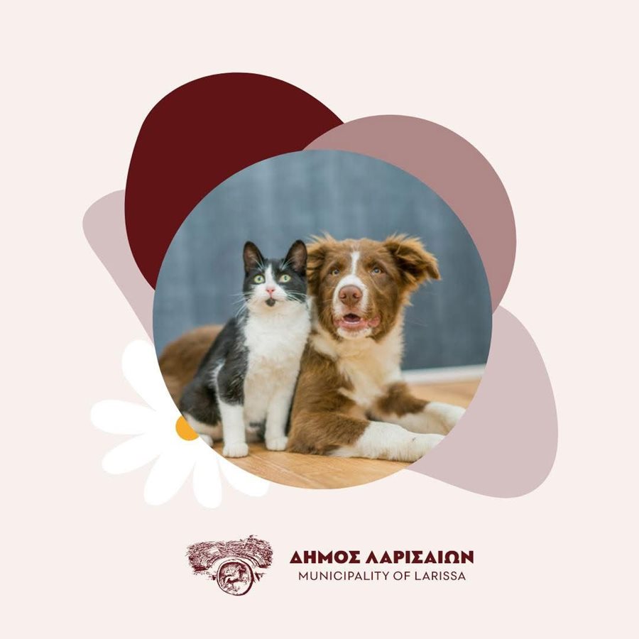 Λάρισα: Δράση γνωριμίας με