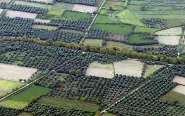 Με αλλαγές για τα πρόστιμα