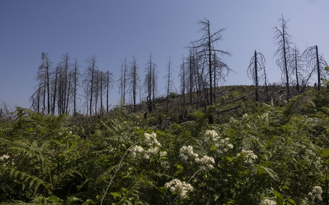 North Evia Pass 2025: Από σήμερα