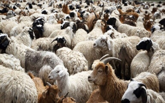 Νέα μέτρα στήριξης για τους