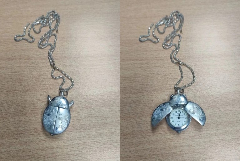 Ηλεία: Έκλεψε κοσμήματα αξίας 50.000 ευρώ και τα έκρυψε σε κορμό δέντρου στην αυλή του σπιτιού του