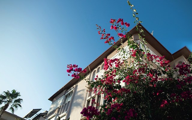 Κυριαρχία των Γερμανών