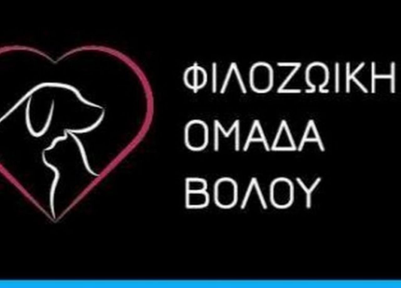 Φιλοζωική Ομάδα Βόλου: Η