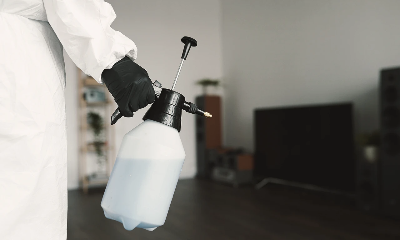 Εμφάνιση αρουραίων σε