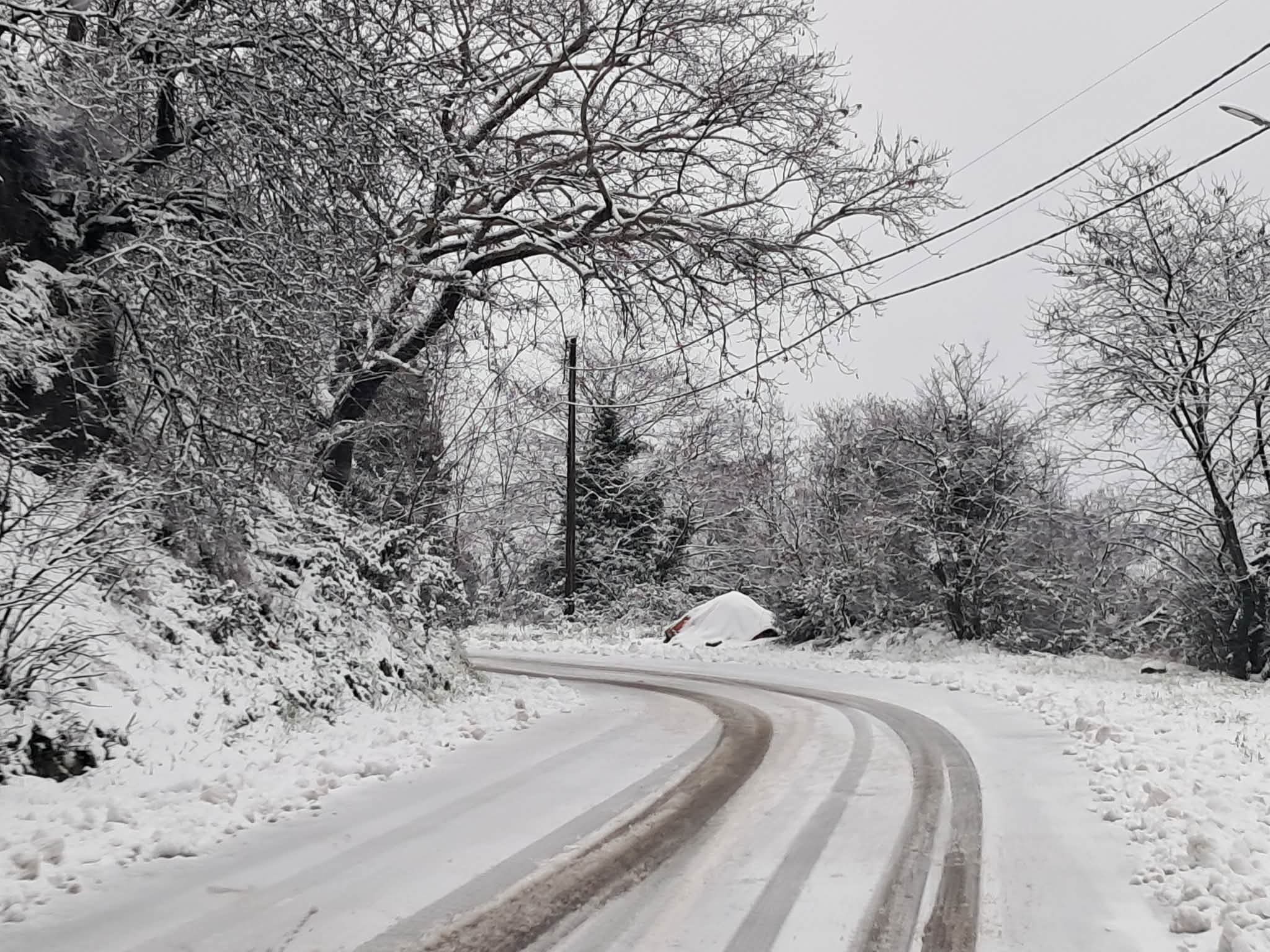 Χιονόπτωση στην Καρδίτσα
