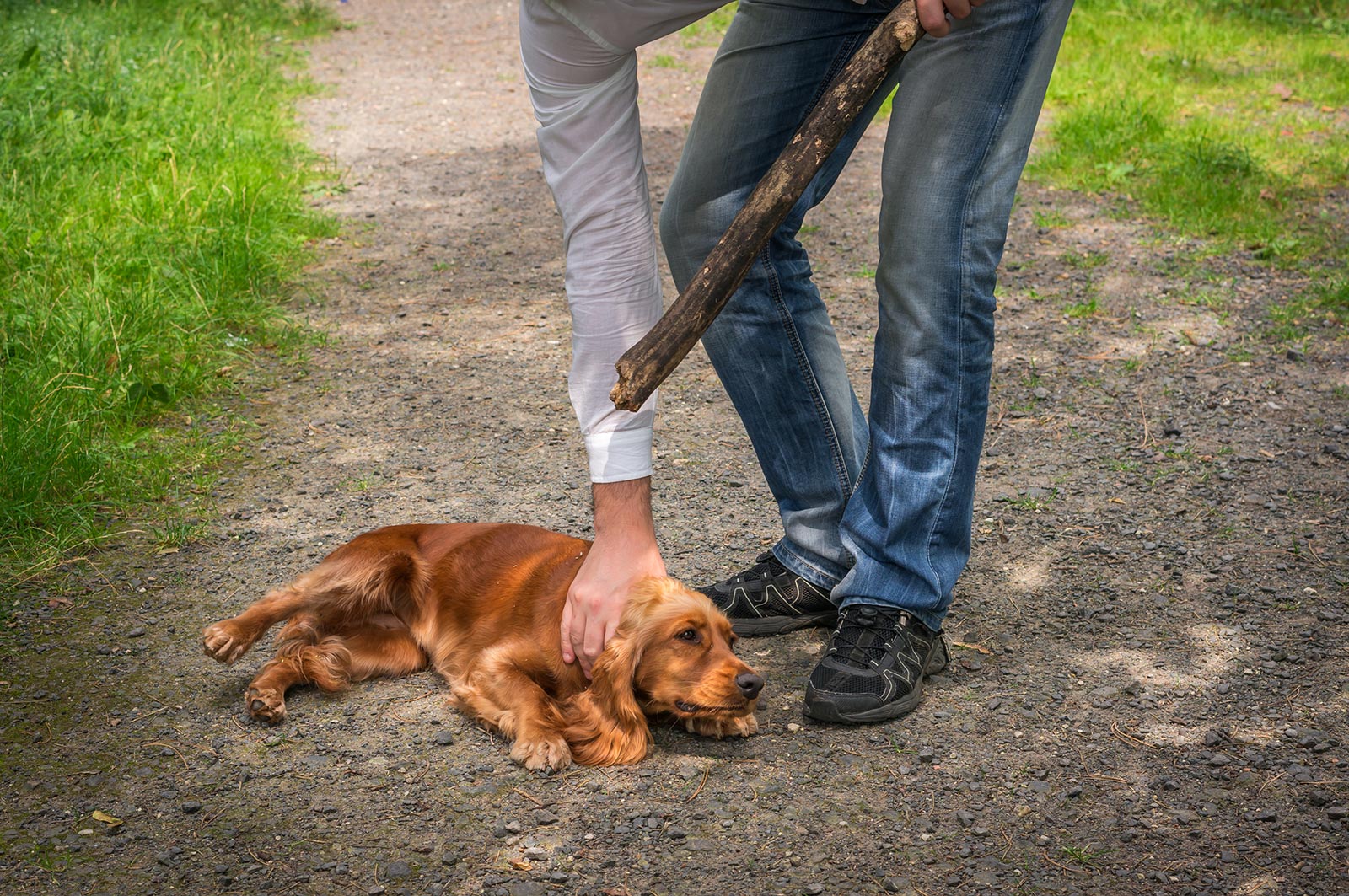 Βόλος: 18 μήνες φυλάκιση σε