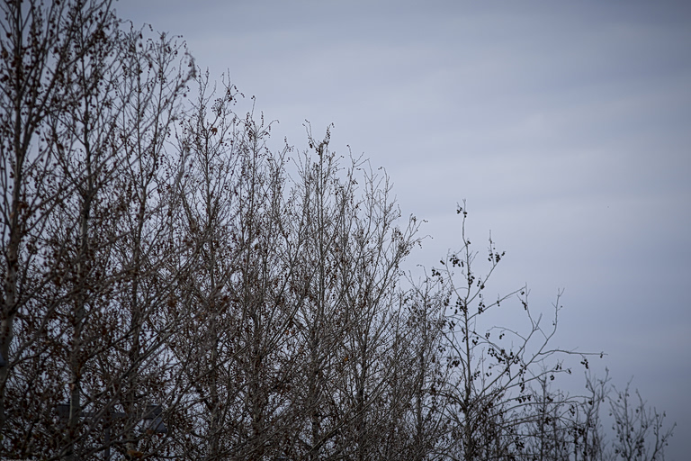 Τοπικές βροχές και πτώση