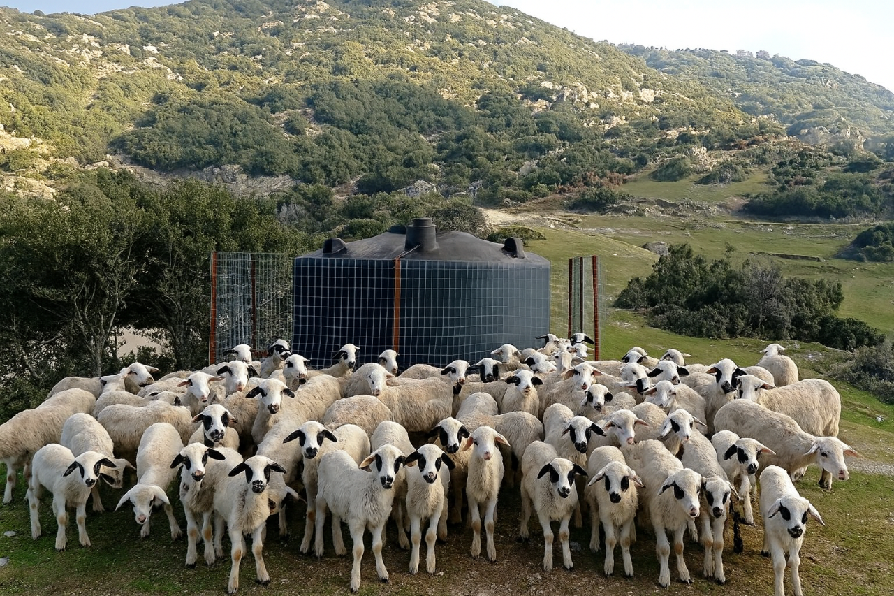 Χωρίς νερό πέντε