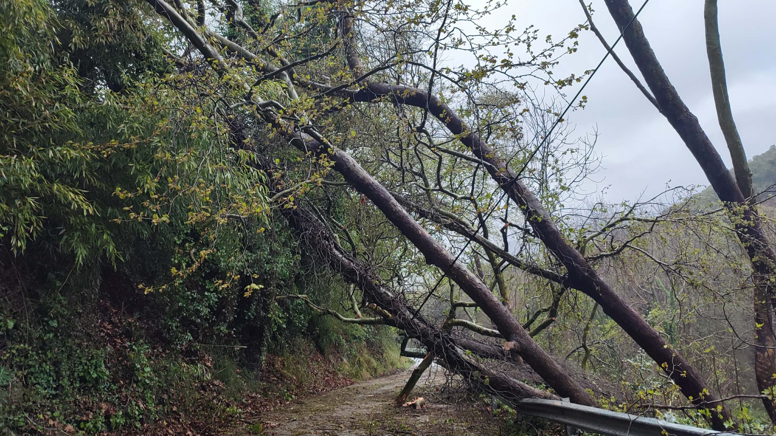 Μικροπροβλήματα από την