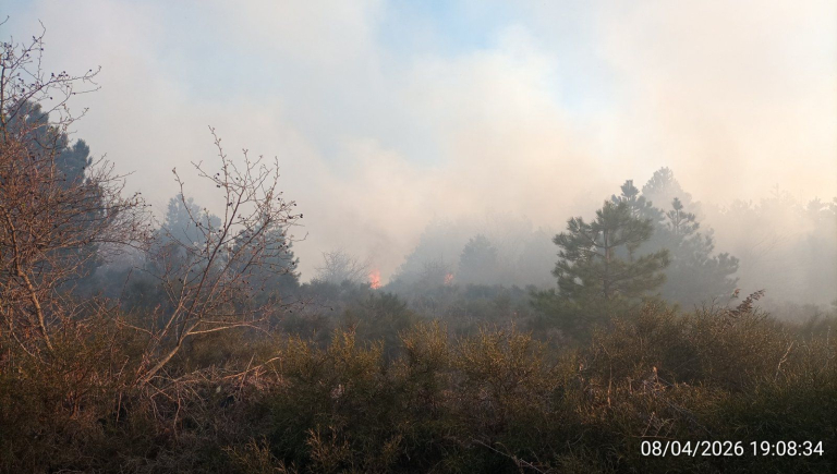Φωτιά στον Πάρνωνα
