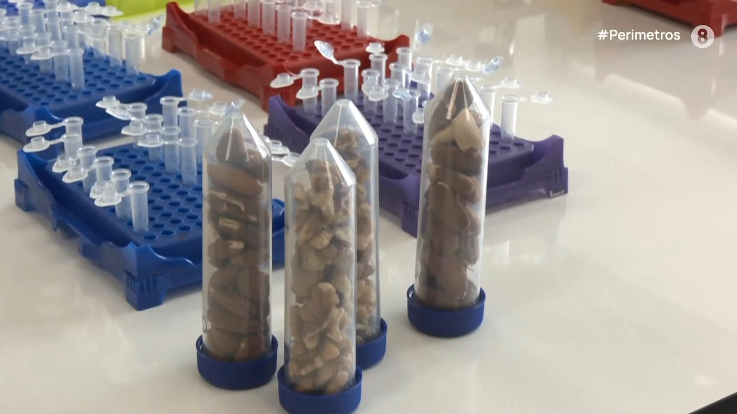 Λάρισα: Μια ακόμα έρευνα