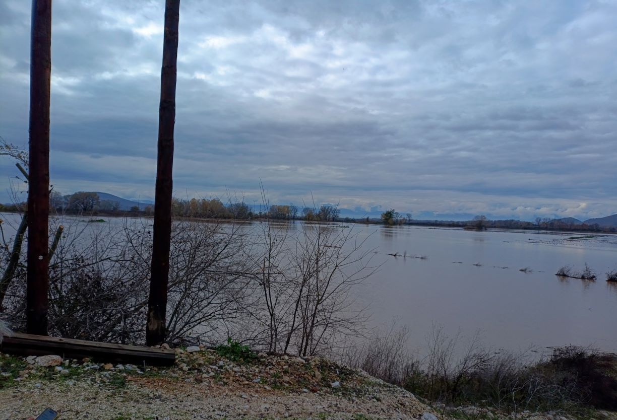 Χιλιάδες στρέμματα