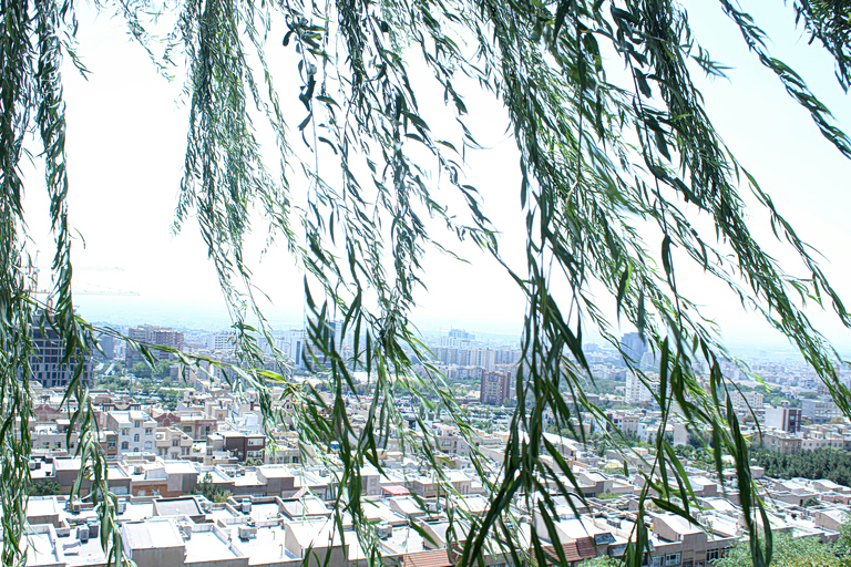 Πόσα δέντρα βλέπετε από το μπαλκόνι σας; Ο κανόνας 3-30-300 και το πράσινο ταξικό χάσμα