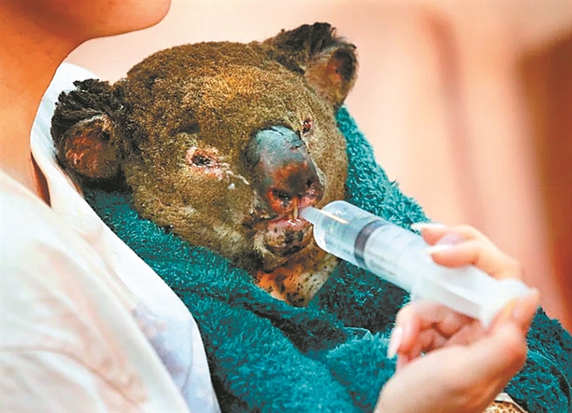 Αυστραλία: Εγκρίθηκε το