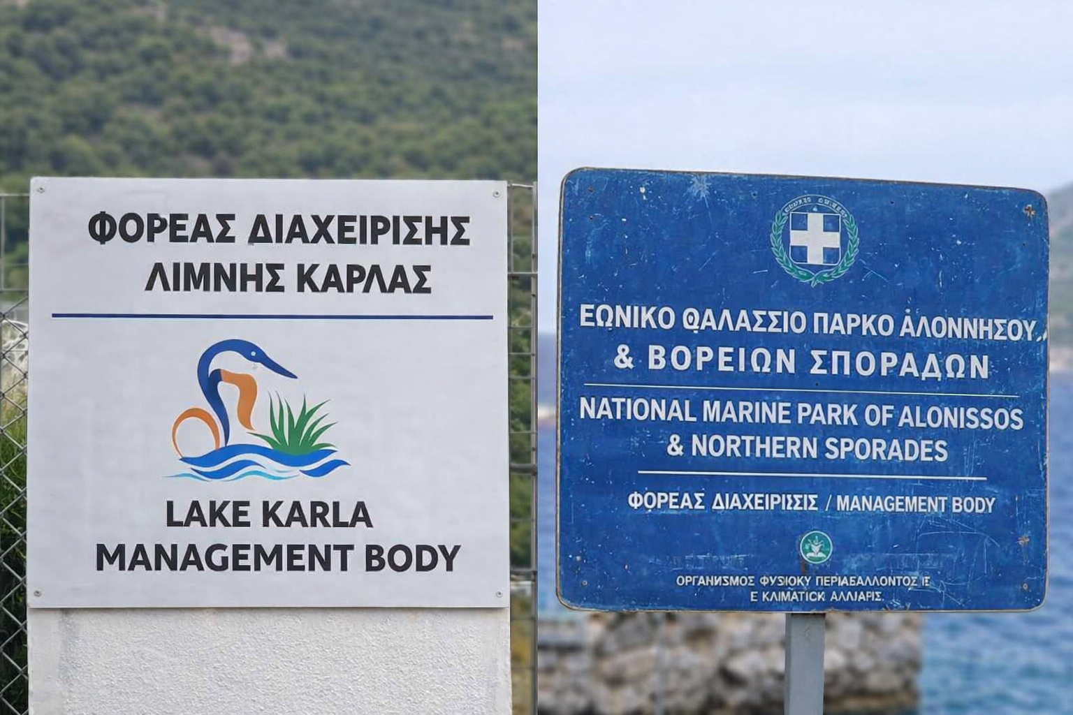 Πέντε εργαζόμενοι στους