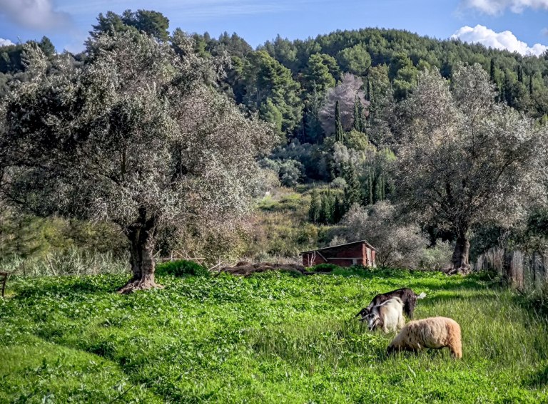 Πάνω από 430.000 χιλιάδες