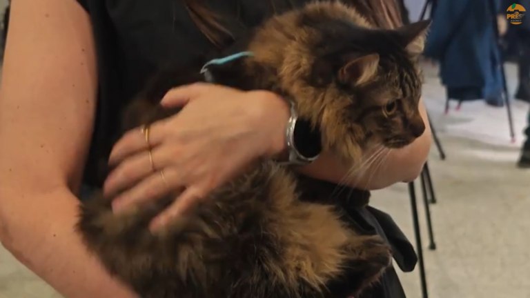 Καταφέραμε το ακατόρθωτο: Πρωτόγνωρες εικόνες στο Ελ. Βενιζέλος με τον επαναπατρισμό δεκάδων ζώων (βίντεο)