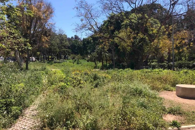 Πάρκο που μοιάζει με