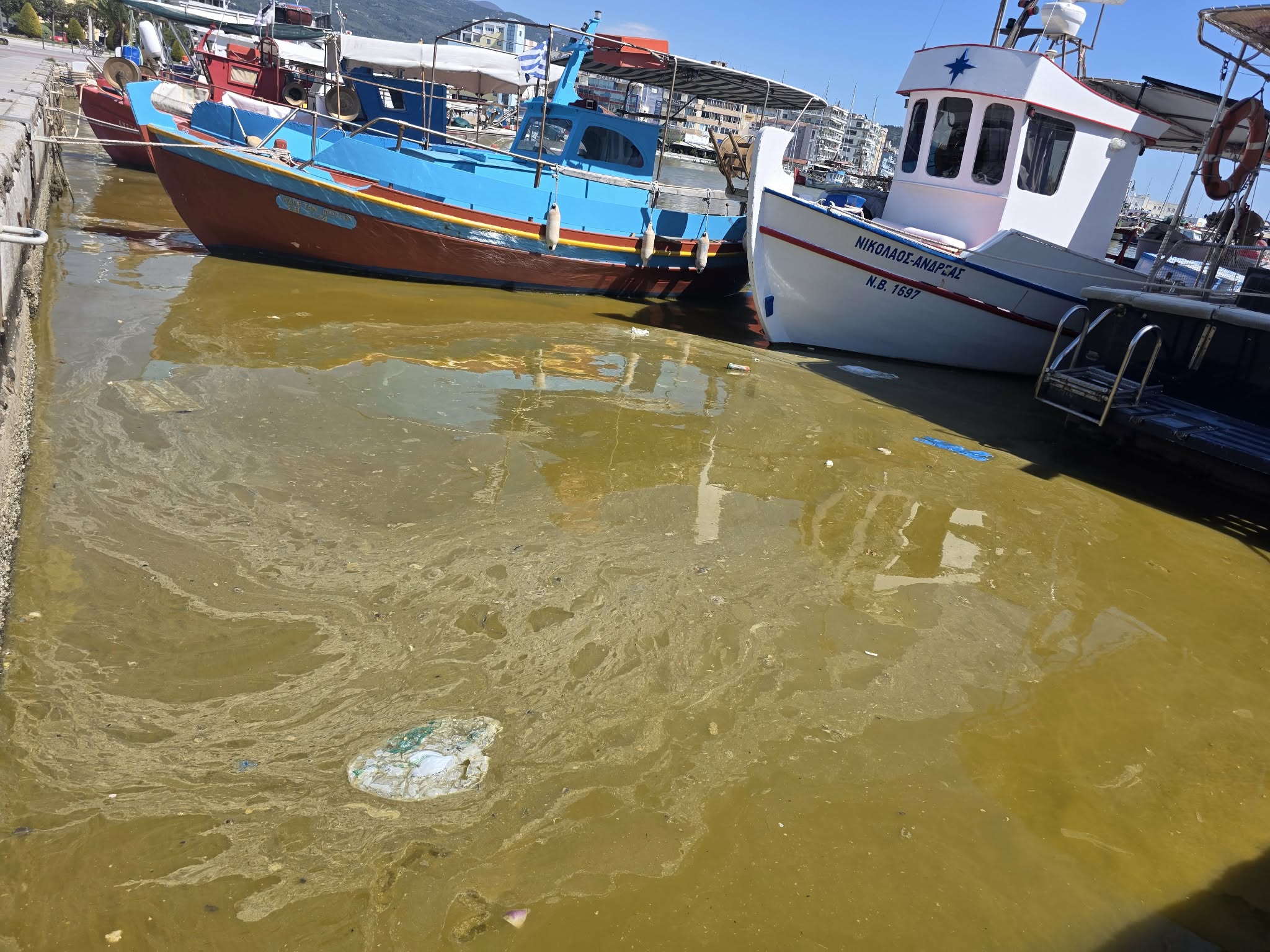 Βόλος: Αποκαρδιωτική