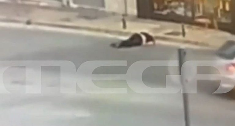 Παλλήνη: Καρέ καρέ ο άγριος