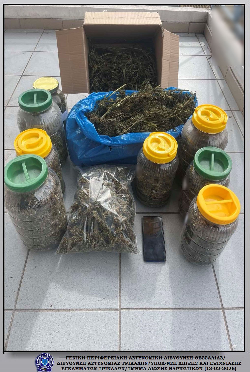 Τρίκαλα: Ο σκύλος της