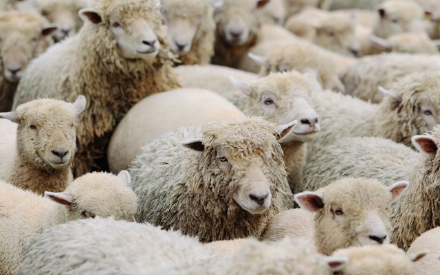 Πάνω από 350 εκατ. ευρώ οι