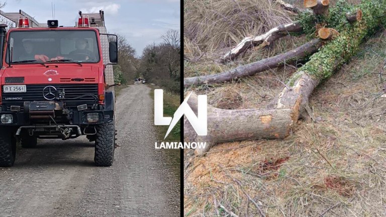 Τραγωδία στη Λαμία  Νεκρός 68χρονος που έκοβε ξύλα και καταπλακώθηκε από δέντρο μπροστά στη γυναίκα του