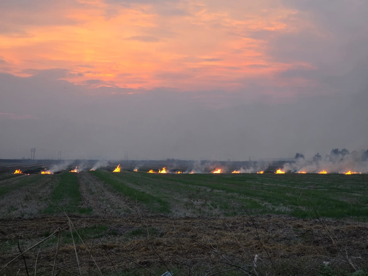 Περιφέρεια Θεσσαλίας: H