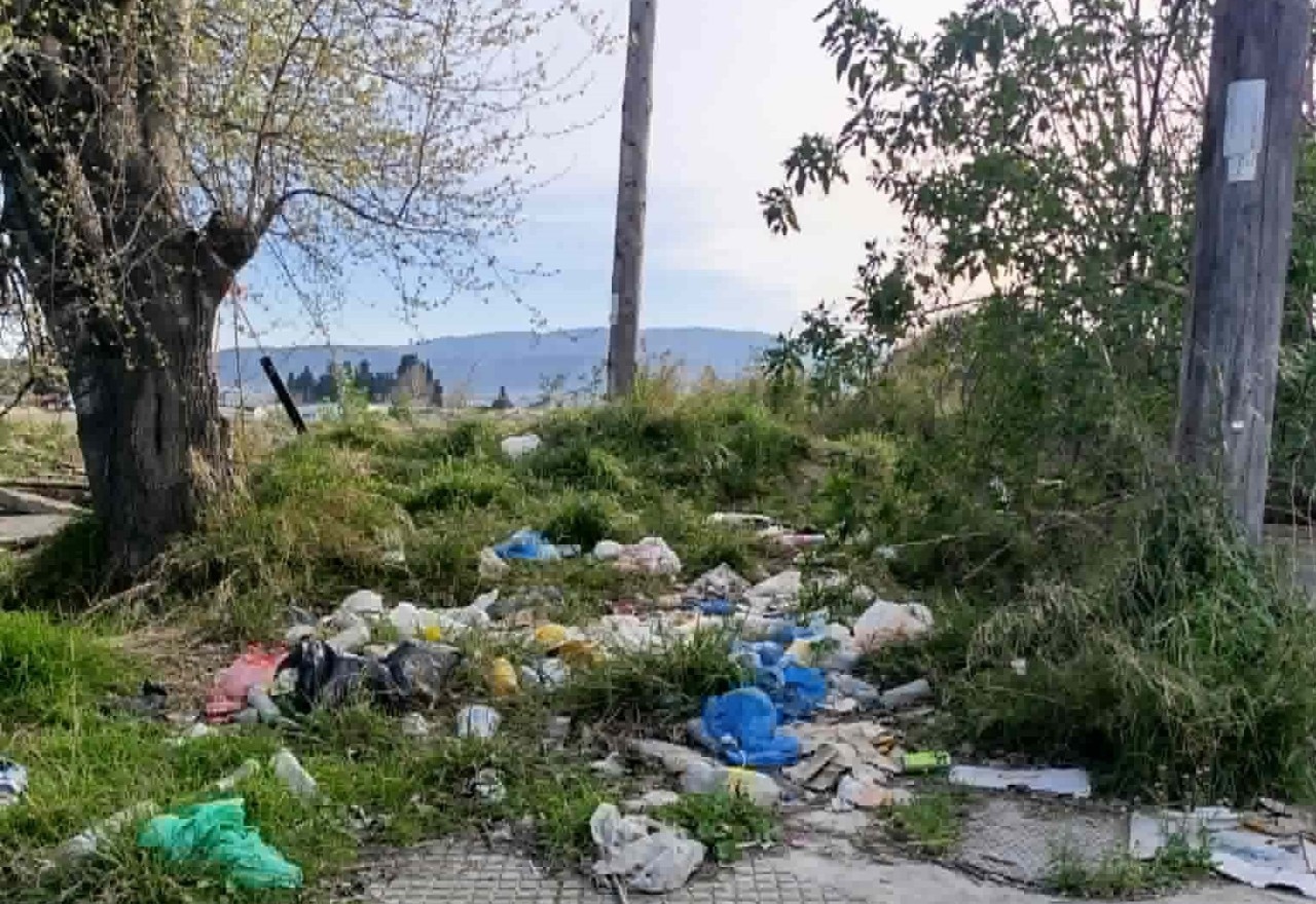 Βόλος: Ερώτηση Μόσχου για ανεξέλεγκτη εστία απορριμμάτων στη Νέα Ιωνία