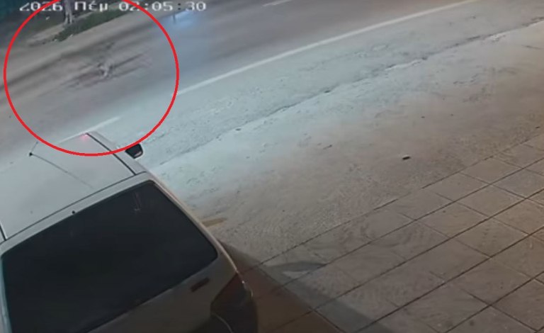 Αλεξάνδρεια: Λύκοι κάνουν βόλτα έξω από σπίτια  Βίντεο ντοκουμέντο