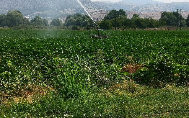 Σήμερα στους λογαριασμούς