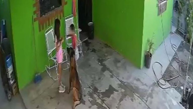 Μεξικό: Άγρια επίθεση σκύλου σε 7χρονη  Έκανε 68 ράμματα στο κεφάλι