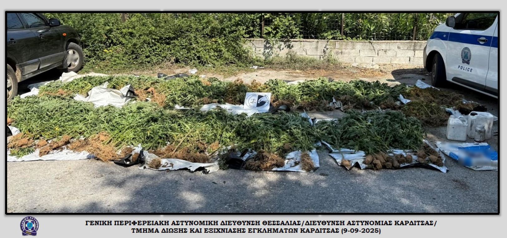 Εντοπίστηκε φυτεία με