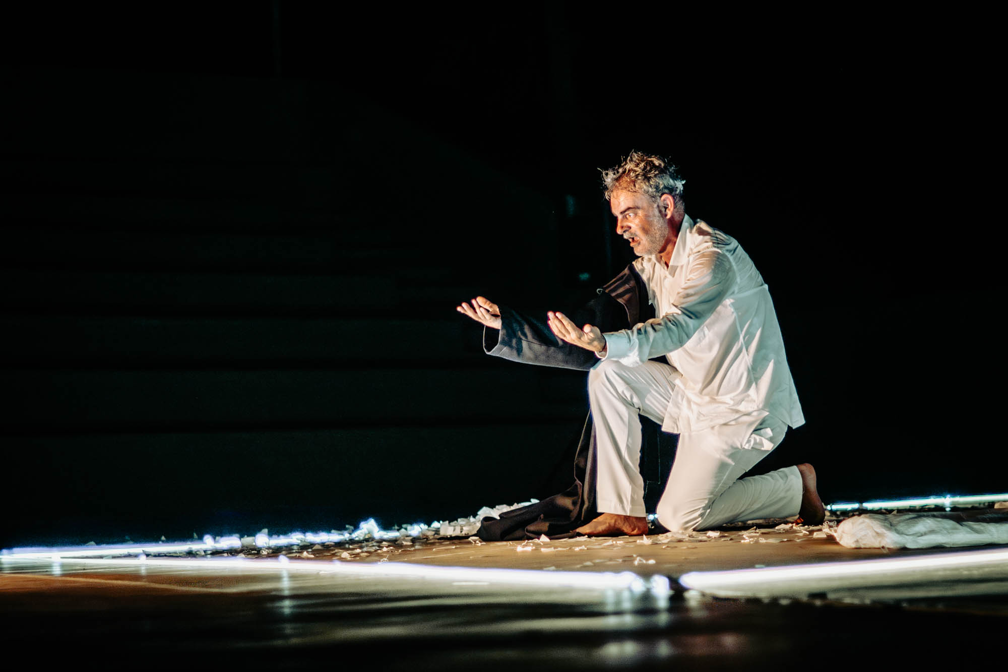 Το Όνειρο ενός Γελοίου του