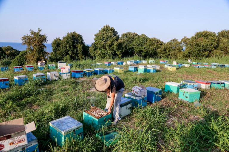 Κόκκαλης: Αδικία και