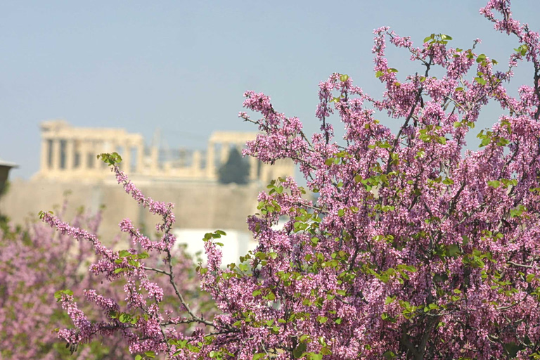 Καιρός: Αίθριος τη Μεγάλη Τρίτη με άνοδο της θερμοκρασίας  Η πρόγνωση για τις επόμενες μέρες