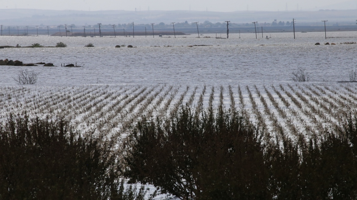 Κάρλα, Κραυσίδωνας,
